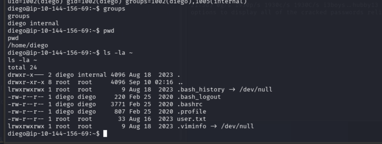Diego account enumeration showing membership in the internal group